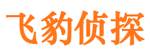 柘城外遇调查取证